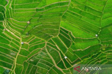 Target penetapan lahan pertanian berkelanjutan