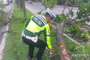 Polisi Palembang tangani kecelakaan tewaskan dua pengendara motor