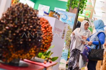 Gapki catat konsumsi domestik minyak sawit naik, BMA optimistis penjualan melonjak