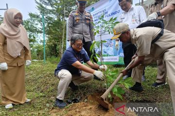 Pelindo Pangkalbalam tanam ratusan tabebuya di Taman Wisata Tua Tunu