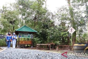 PHR gandeng UMRI perkuat pengelolaan Desa Wisata Hutan Adat Imbo Putui