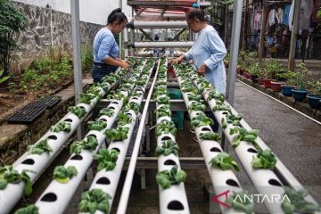Program ketahanan pangan di Lapas Perempuan Bandung
