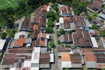 Seribuan rumah warga terdampak banjir di Lumajang
