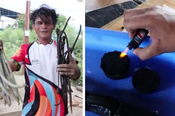 Pemuda di Aceh sulap propagul jadi bahan bakar ramah lingkungan