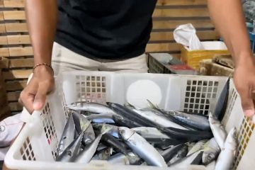 Prabowo: Kampung Nelayan tingkatkan penghasilan hingga dua kali lipat