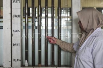 Wangi emas hijau dari kaki Gunung Kerinci