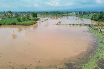 Status tanggap darurat bencana di Lumajang
