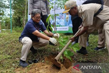 Kebun Raya Tua Tunu Pangkalpinang kembangkan malapari untuk biodiesel