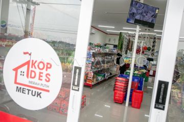 Menkop: Modernisasi Kopdes Merah Putih kunci tarik minat anak muda