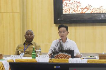 Wapres: Ada 24 rumah sakit yang akan dibangun di Tanah Papua