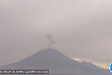 Gunung Semeru hari ini tiga kali erupsi dengan tinggi letusan hingga 800 meter
