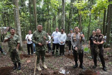 Bogor kembangkan hutan kota di setiap kecamatan mulai 2026