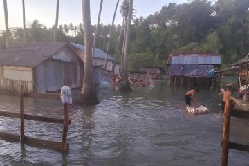 BPBD laporkan 12 jiwa mengungsi akibat banjir rob di Parigi Moutong