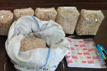 Polsek Sapuran mengamankan dua warga Cirebon diduga edarkan merica oplosan