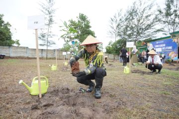 BI tanam 1.000 pohon kakao dukung target Net Zero Emission di Babel