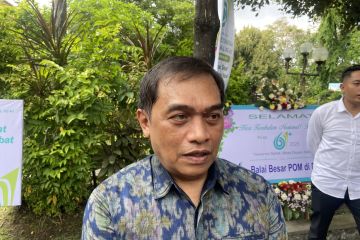 1.300 ibu hamil Bali terdata dapat program insentif Nyoman dan Ketut