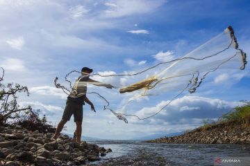 Menjaga Populasi Ikan Bilih