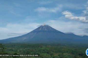 Gunung Semeru hari ini kembali erupsi dengan tinggi letusan 800 meter