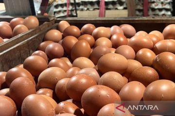 PIHPS rilis harga pangan hari ini: cabai rawit Rp42.700 per kg, telur ayam Rp31.450 per kg