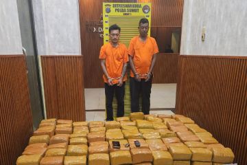 Polda Sumut selidiki pengendali dua kurir 255 kilogram ganja asal Aceh