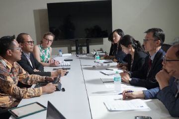 Indonesia-Korea Selatan jajaki kerja sama restorasi mangrove