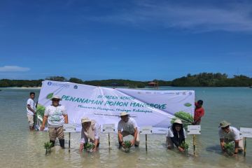 BI Jakarta tanam 12 ribu mangrove untuk tekan emisi karbon