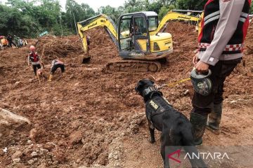 BNPB: Operasi SAR Cilacap diperluas demi percepat temuan korban