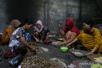 KUR bunga enam persen dan masa depan pengusaha muda Indonesia