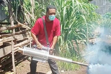 Pemkab Lembata, NTT intensifkan fogging cegah DBD