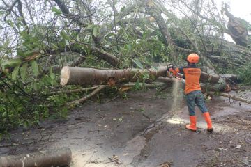 Pemkab Kediri petakan daerah rawan bencana banjir dan longsor&nbsp;