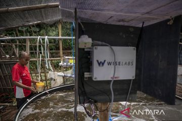 Budi daya ikan nila sistem bioflok di Padalarang