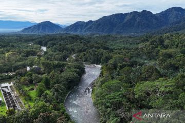 Menakar kebijakan fiskal penyelamat alam