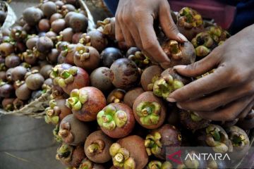 Purwakarta wujudkan ekonomi hijau dan berkelanjutan