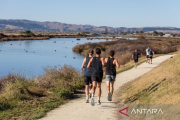 Cara Selandia Baru mengembangkan pariwisata