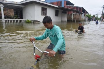 Banjir rendam permukiman di Padang