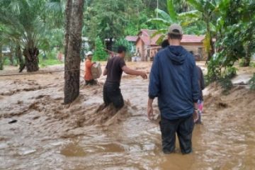 Pusdalops: 13 kabupaten/kota di Sumut dilanda bencana banjir & longsor