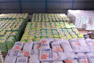 Bulog mulai serap beras petani Bali targetkan 3,78 juta kilo setahun