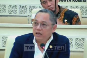 Panja DPR usul UU Pengelolaan Perbatasan Negara perkuat kapasitas BNPP