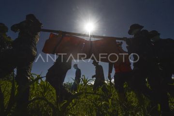 Evakuasi korban banjir bandang Palembayan