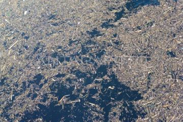 Sampah kayu gelondongan pascabanjir bandang di Solok