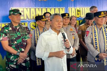 Menko Zulhas: Stok beras dan jagung aman, tak perlu impor sebutir pun