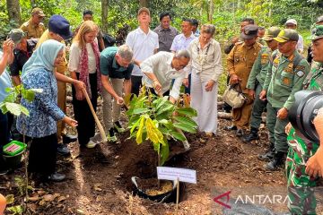 Zulhas perkuat perhutanan sosial Lampung lewat bantuan bibit kakao