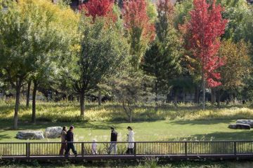 Suhu turun tajam saat gelombang dingin terus melanda China