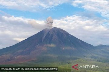 Semeru alami 16 kali erupsi, letusan tertinggi capai 1.100 meter