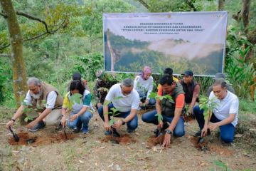 Yayasan AHM kolaborasi dengan masyarakat pekalongan lestarikan satwa Owa Jawa