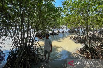 DLH Indramayu memperkuat pemantauan kualitas udara dengan sistem AQMS