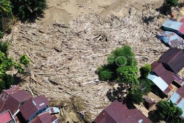 Tumpukan kayu gelondongan di permukiman