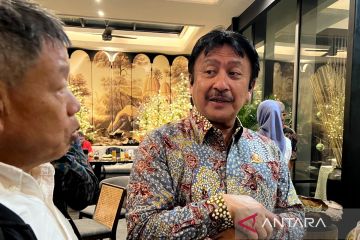 Kemenhub: ICAO setuju limbah sawit jadi bahan baku bahan bakar pesawat