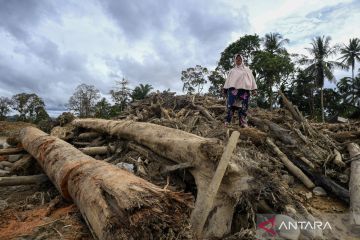 Bencana alam melanda: akibat cuaca atau ulah manusia?