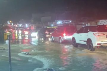 WALHI: Banjir Kota Jambi akibat pembangunan abai lingkungan